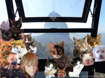 #18 Weeti inside cable car view