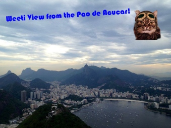 #19 Weeti view Pao de acucar - view to harbor ans Chirst redeemer