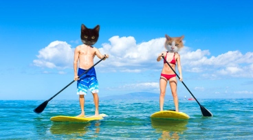 #24 Weeti Henry & Dora paddle-boards