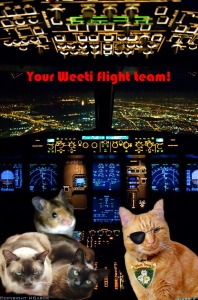 #3 Weeti flight team